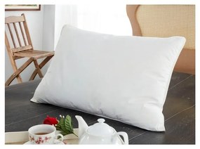 Protezioni impermeabili anallergiche per cuscini 2 pezzi 70x50 cm Classic - Mila Home