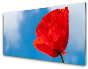 Quadro su vetro Muro di tulipani 100x50 cm