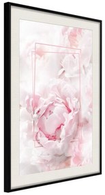 Poster  Floral Dreams  Cornice Quadri Cornice nera con pass-partout, Larghezza x Altezza Home decor 20x30