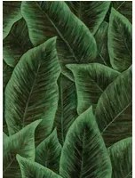 Arte International Carta da parati Bird Of Paradise - Emerald
