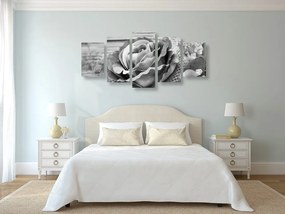 Quadri 5 pezzi – Rosa vintage elegante in bianco e nero