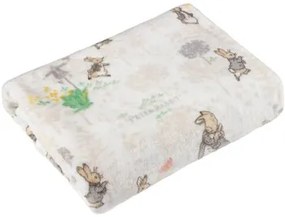 Peter Rabbit  Coperta RV2977  Peter Rabbit