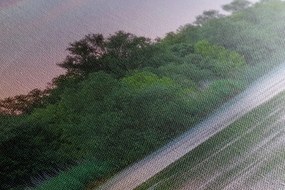Stampa su tela – Alba sul fiume