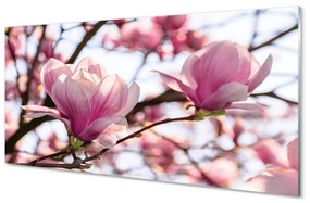 Quadro su vetro Alberi di magnolia 100x50 cm