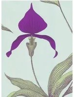 Cole & Son Carta da parati Orchid - Türkis/ Violett