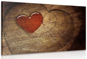 Quadro su tela – Cuore su tronco