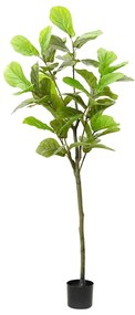 Albero Di Ficus Artificiale 48 Foglie 165 Cm Verde /