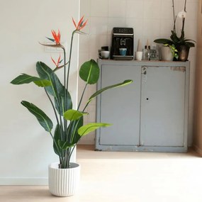 Strelitzia Pianta Artificiale İn Vaso Con Fiori 120 Cm /