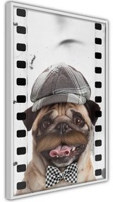 Poster Dressed Up Pug