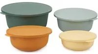 Set 4 contenitori in plastica colorati