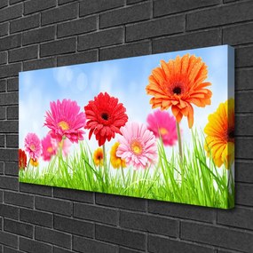 Quadro su tela I fiori dell'erba 100x50 cm