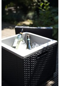 Tavolo da giardino con vaschetta per il ghiaccio 42x42 cm - Keter
