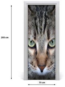 Poster adesivo per porta Gli occhi di gatto 75x205 cm
