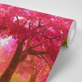 Carta da parati autoadesiva – Alberi di ciliegio in fiore