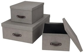 Scatole portaoggetti con coperchio in set da 3 Inge - Bigso Box of Sweden
