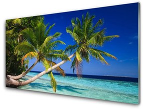 Quadro su vetro acrilico Paesaggio del mare della palma 100x50 cm
