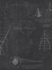 Mindthegap Carta da parati Newton Geometry - WP20046
