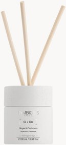 Diffusore per ambienti Home Fragrance (zenzero & cardamomo)