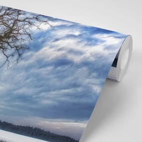 Carta da parati autoadesiva – Alberi in inverno