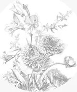 KEK Amsterdam Carta da parati panoramica Engraved Flowers 2 Circle - M - 1.9m