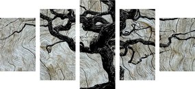 Quadri 5 pezzi – Albero astratto su legno