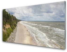 Quadro acrilico Spiaggia, mare, albero, natura 100x50 cm