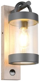 Illuminazione esterna con sensore di movimento da parete (altezza totale 33 cm) Sambesi – Trio