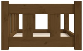 Cuccia per cani miele 55,5x45,5x28 cm in legno massello di pino
