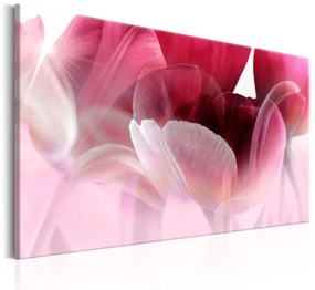 Quadro Nature: Pink Tulips