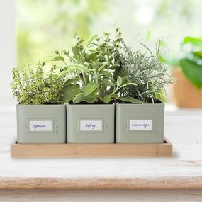 Set di vasi in metallo per erbe aromatiche 3 pz Greenish - Orion