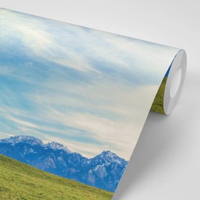 Carta da parati autoadesiva – Panorama montano