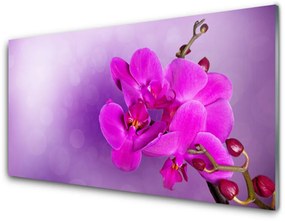 Quadro su vetro Fiori Petali Orchidea 100x50 cm