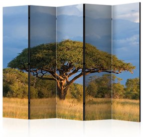 Paravento separè Acacia africana (5 parti) - paesaggio con albero su sfondo celeste