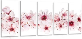 Quadri 5 pezzi – Fiori di ciliegio