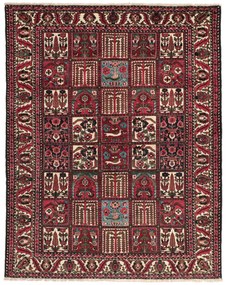 Bakhtiar Tappeto 170 x 210 (Iran) Annodato A Mano