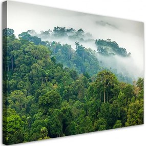 Quadro su tela, Foresta nella nebbia  Dimensioni 120x80