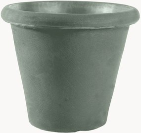 Portavaso Camelia