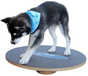 FitPAWS Tavola per Equilibrio 50 cm Nera 433830