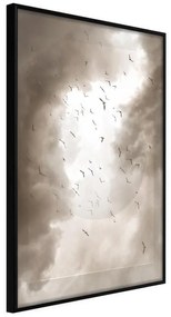 Poster  Disturbed Flight  Cornice Quadri Cornice nera, Larghezza x Altezza Home decor 20x30