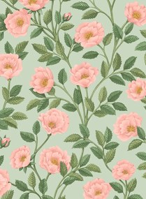 Cole & Son Carta da parati Hampton Roses - 118/7014