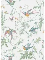 Tapete Hummingbirds Icons von Cole and Son - Pastel