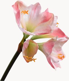 Set di 2 fiori artificiali Amaryllis