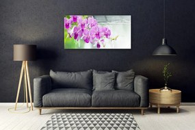 Quadro vetro acrilico Orchidee, gocce, natura 100x50 cm