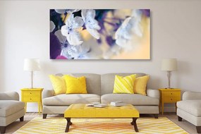 Quadro su tela – Ramo di ciliegio fiorito