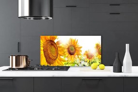 Pannello cucina paraschizzi Pianta di fiori di girasole 100x50 cm