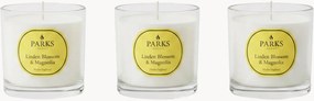 Set di 3 candele profumate fatte a mano Vintage Aromatherapy (fiore di tiglio, magnolia e muschio morbido)