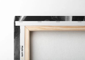 Quadro su tela – Fioritura di giglio in bianco e nero