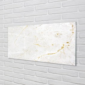 Quadro acrilico Muro di marmo di pietra 100x50 cm