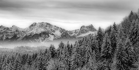 Stampa su tela – Montagne congelate in bianco e nero