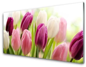 Quadro acrilico Tulipani Fiori Natura Prato 100x50 cm